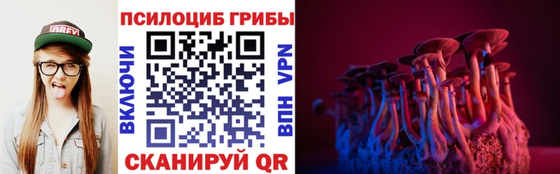 Псилоцибиновые грибы Cubensis Первомайск